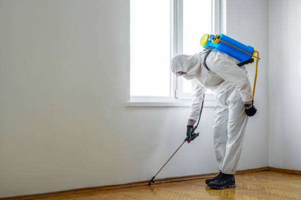 Pest Control for Hotels in Coloma, MI